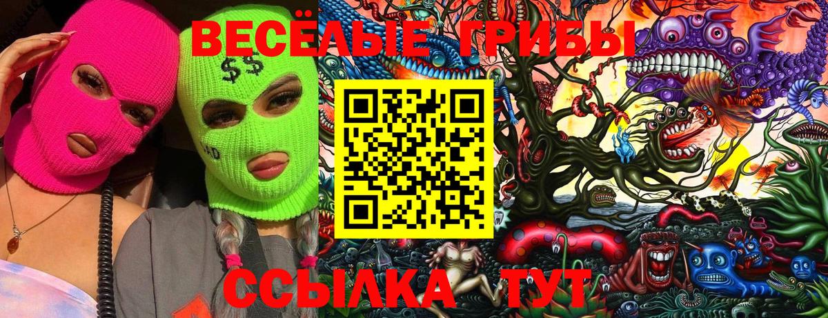 Галлюциногенные грибы GOLDEN TEACHER Глазов